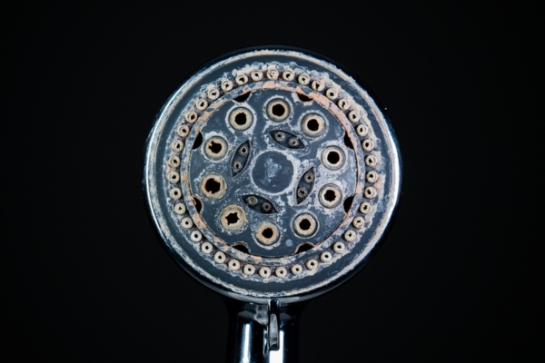 hard water calcium or lime scale deposits on shower head