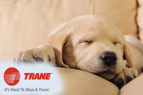 trane heat pump heating and cooling in ma and ct