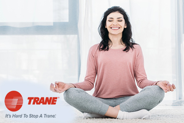 trane hvac services and indoor air quality solutions trane hvac services and indoor air quality solutions