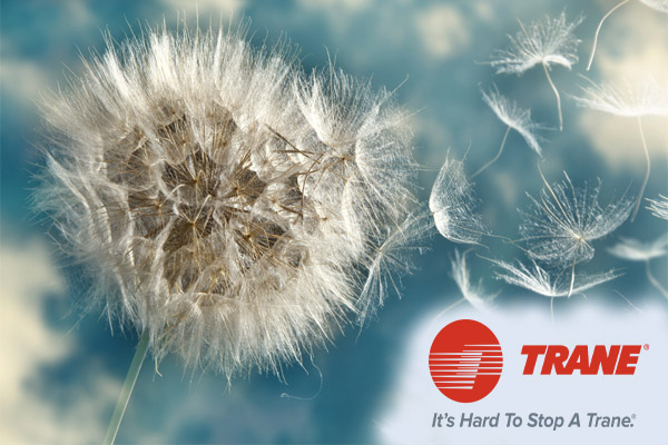 trane improving indoor air quality in massachusetts and connecticut trane improving indoor air quality in massachusetts and connecticut