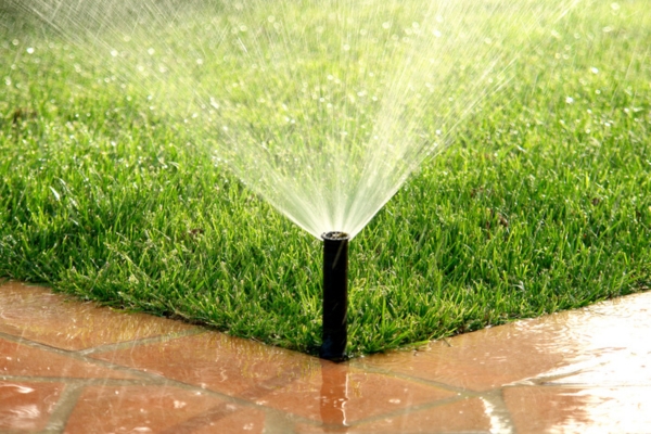 timed sprinkler system in the garden