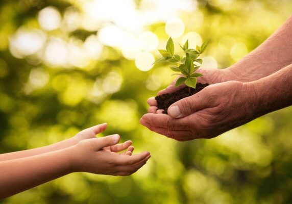 adult hands handing soil with sprout to a child's hands depicting clean energy