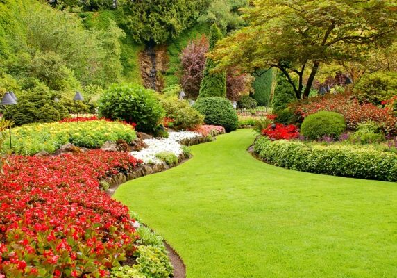 well landscaped lush garden
